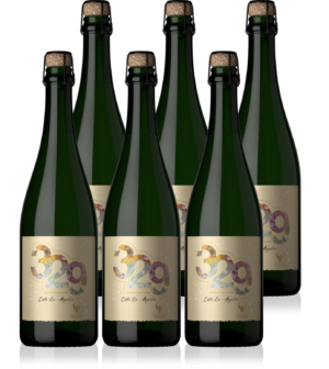 Espumante 329 Brut 2025 - método champenoise - caja x 6